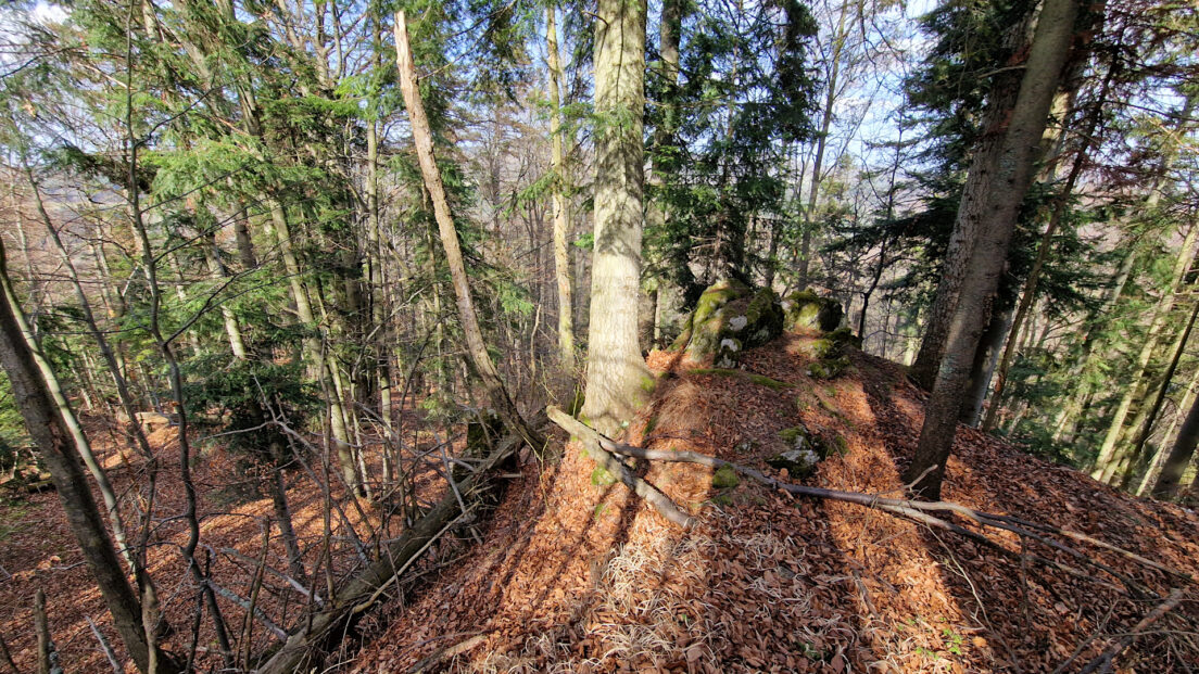 Branisko - Veľká skala