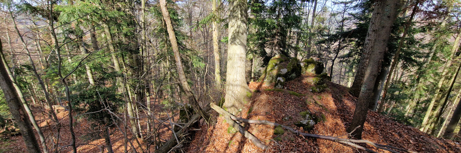 Branisko - Veľká skala